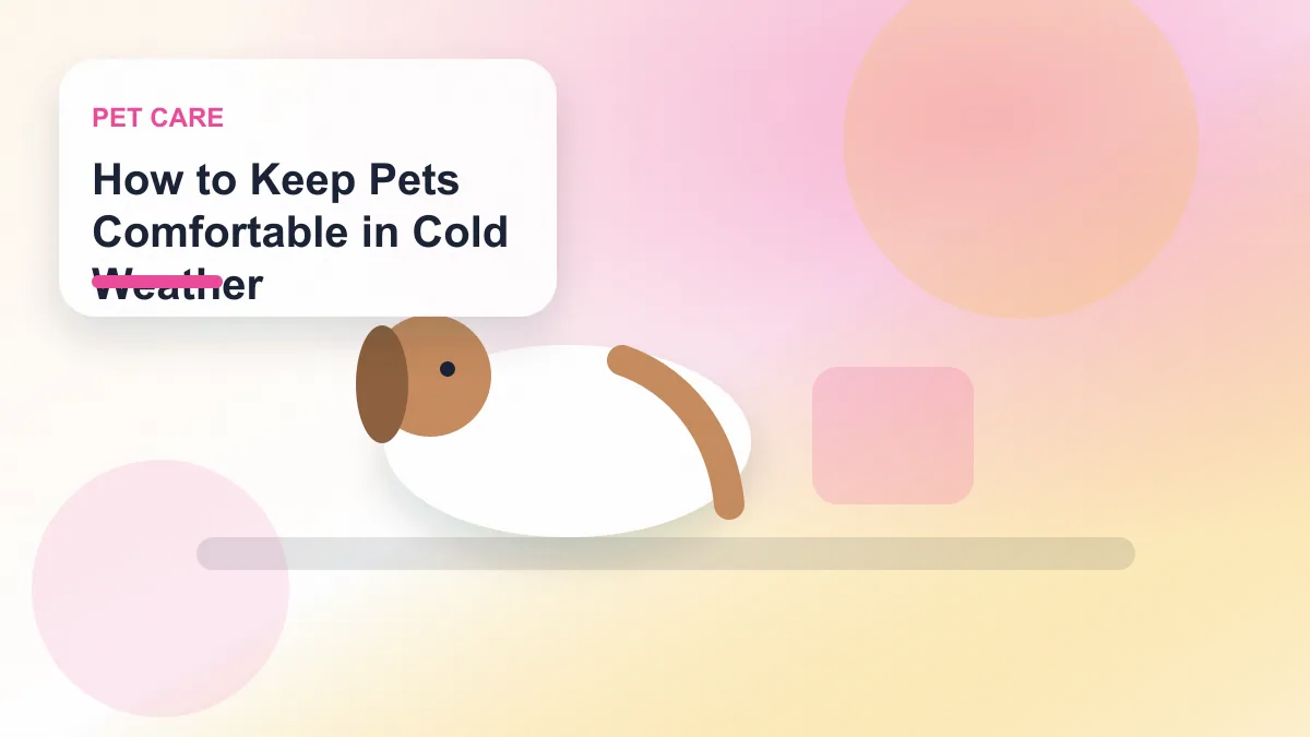 How to Keep Pets Comfortable in Cold Weather realistic editorial image for GuideTo Pet Care