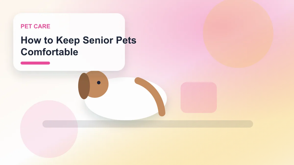 How to Keep Senior Pets Comfortable realistic editorial image for GuideTo Pet Care